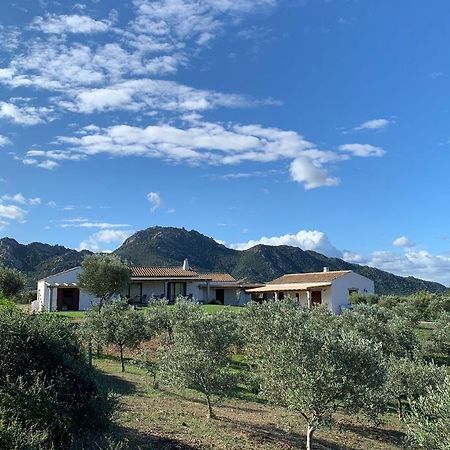 Macciuneddu Country Retreat Golfo Aranci Exterior photo